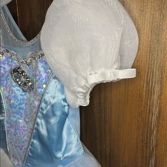 Cinderella Disney Costume - Picture 3 of 5